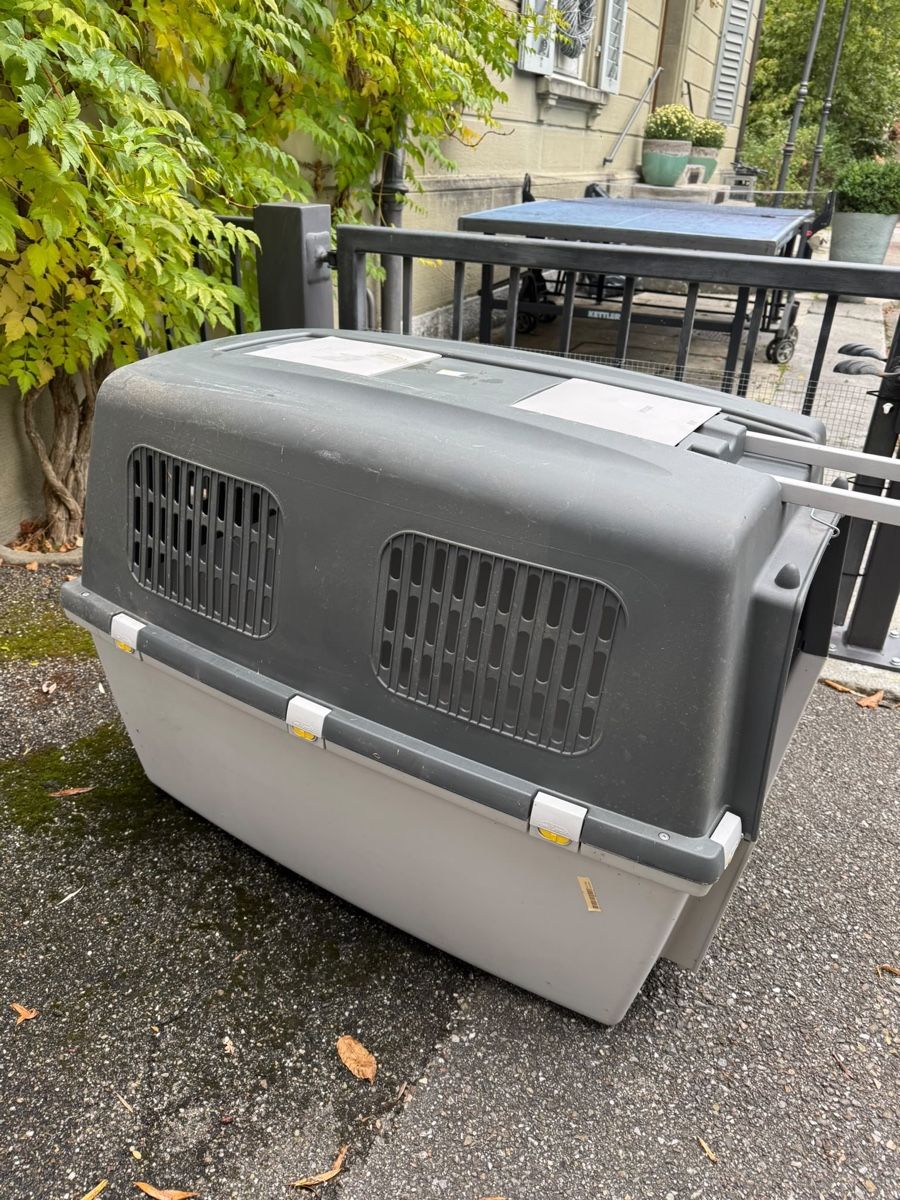 Altro in Decorazioni & Accessori: Hundetransport-Box – Usato da Langnau im Emmental venduto da hapele 1