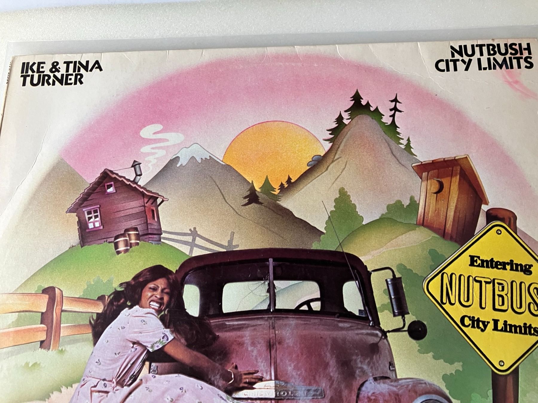 Dischi in vinile: Tina Turner – Usato da Aarwangen venduto da Jukebox3 1