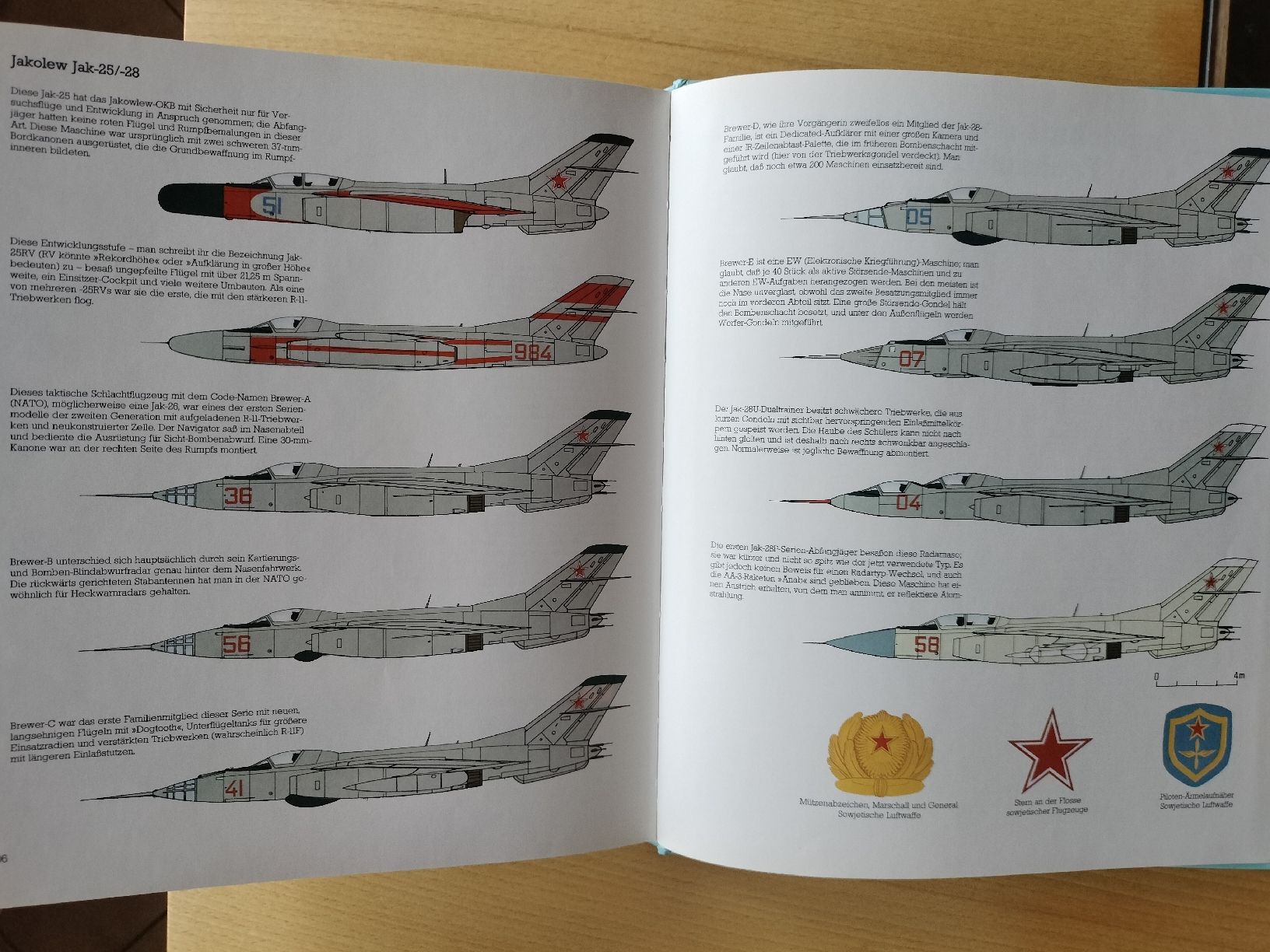 Libri: Buch , Militär Flugzeuge – Usato da Schwanden Sigrisw venduto da len_9yqg 9