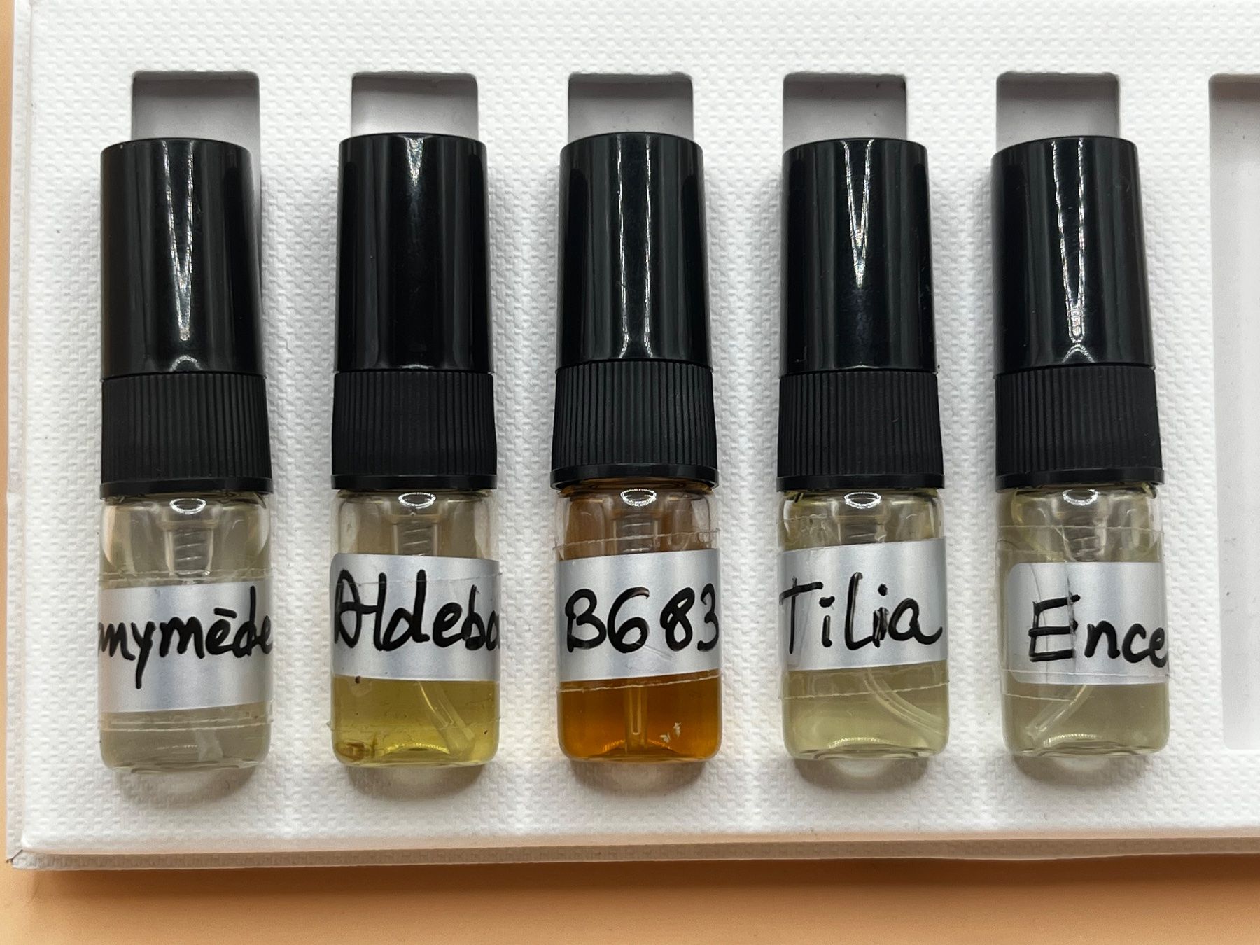 Profumi & Eau de Toilette: EDP Marc-Antoine Barrois 5x2ml – Nuovo (secondo la descrizione) da Genève venduto da StaceyH