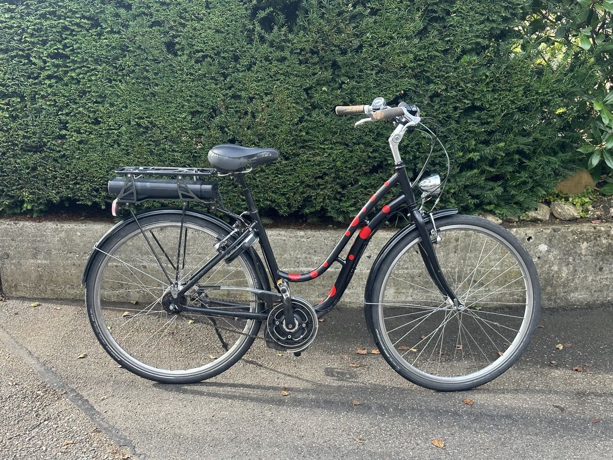 Biciclette: E Bike 25kmh – Usato da Zullwil venduto da Autocentersalii