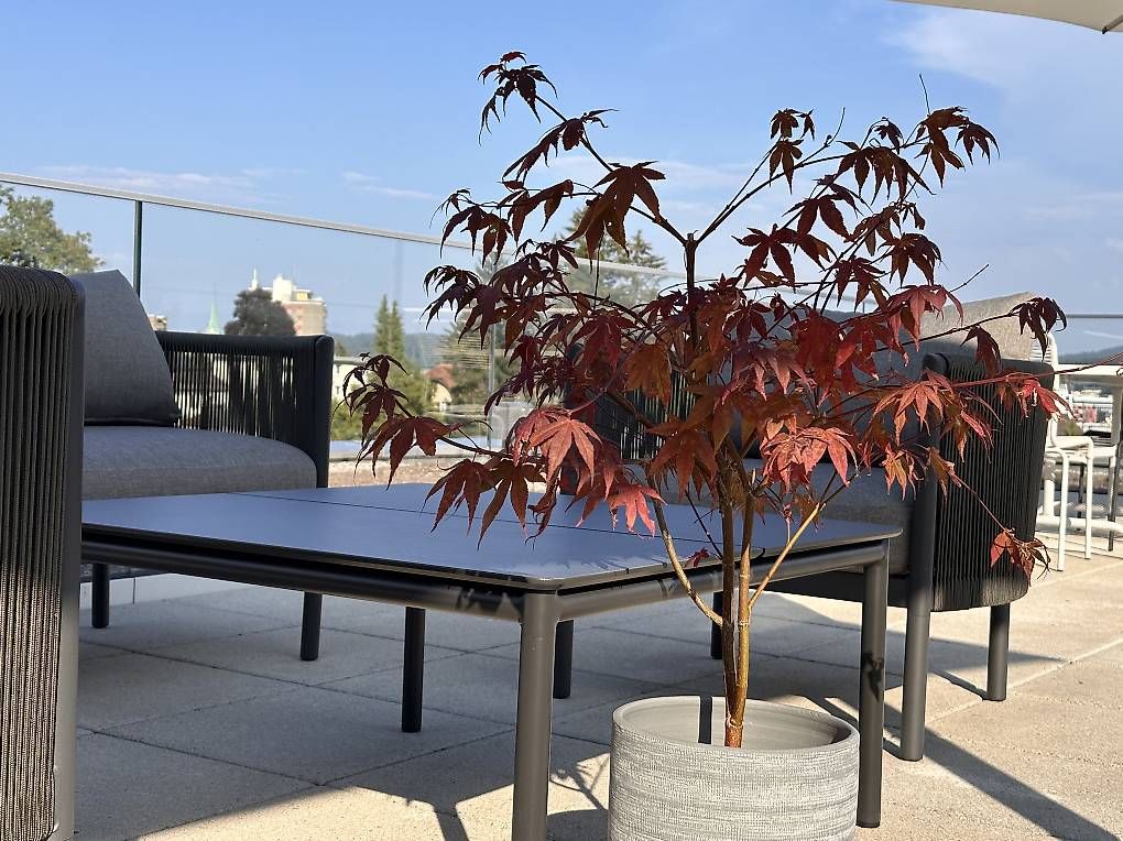 Tavoli: Gartentisch – Usato da Winterthur venduto da Xeni86 2