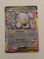Carte Pokémon MEGA NANMEOUIE asc 172