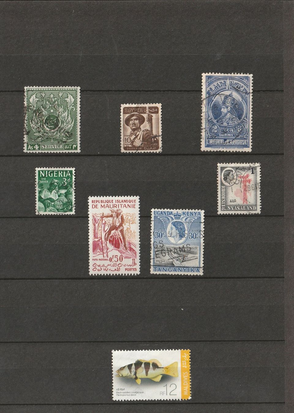 Tutti i francobolli: Alte Briefmarken -6 x Afrika & 1x Malediven – Usato da Basel venduto da chrisKB
