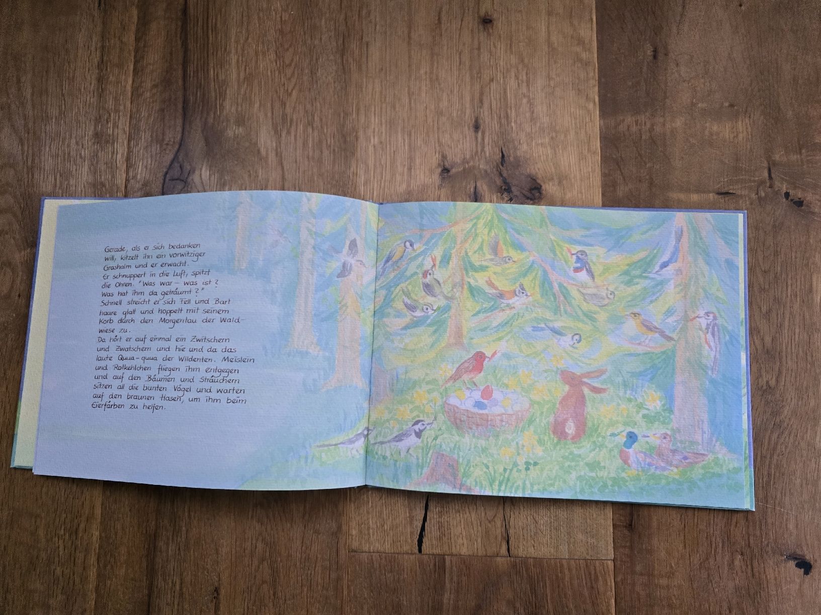 Libri: vom traum des osterhasen bilderbuch – Usato da Wittenbach venduto da Tigerlili 8