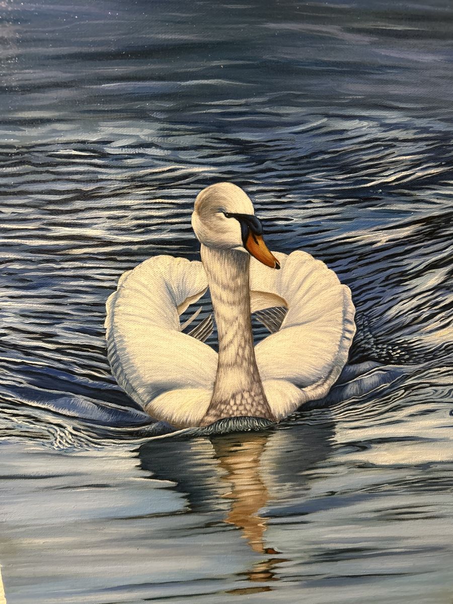 Dipinti: Gemälde "Schwan" signiert- Einzigartig & Handgemalt! – Usato da Glarus venduto da KunstWerkEr-LS87 2