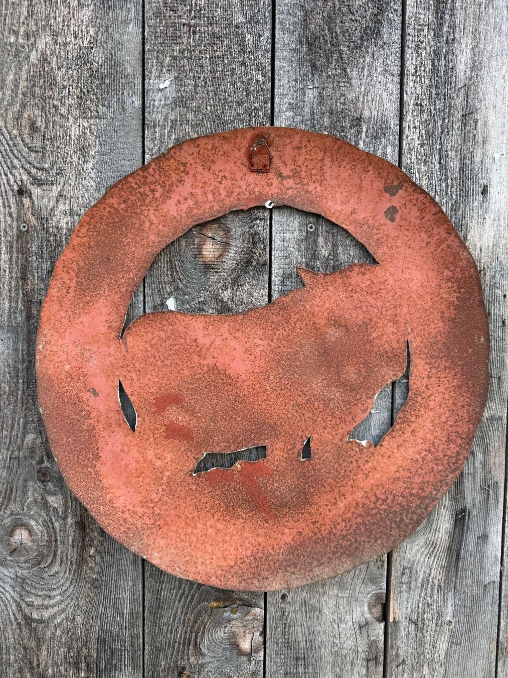 Schilder: Schild, Willkommen mit Kuh – Gebraucht aus Sachseln von BONATI01 3