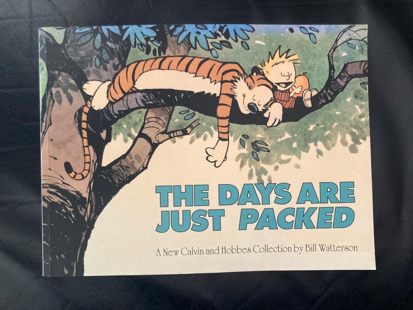 BD: Calvin and Hobbes – D'occasion à Schwarzenbach SG par ernesto3.6