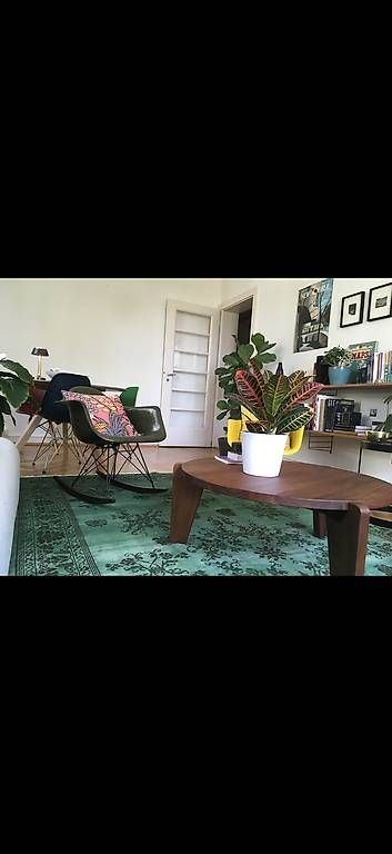 Teppiche: Tapis traditionnel 320/200 – Gebraucht aus Préverenges von lud_dk87