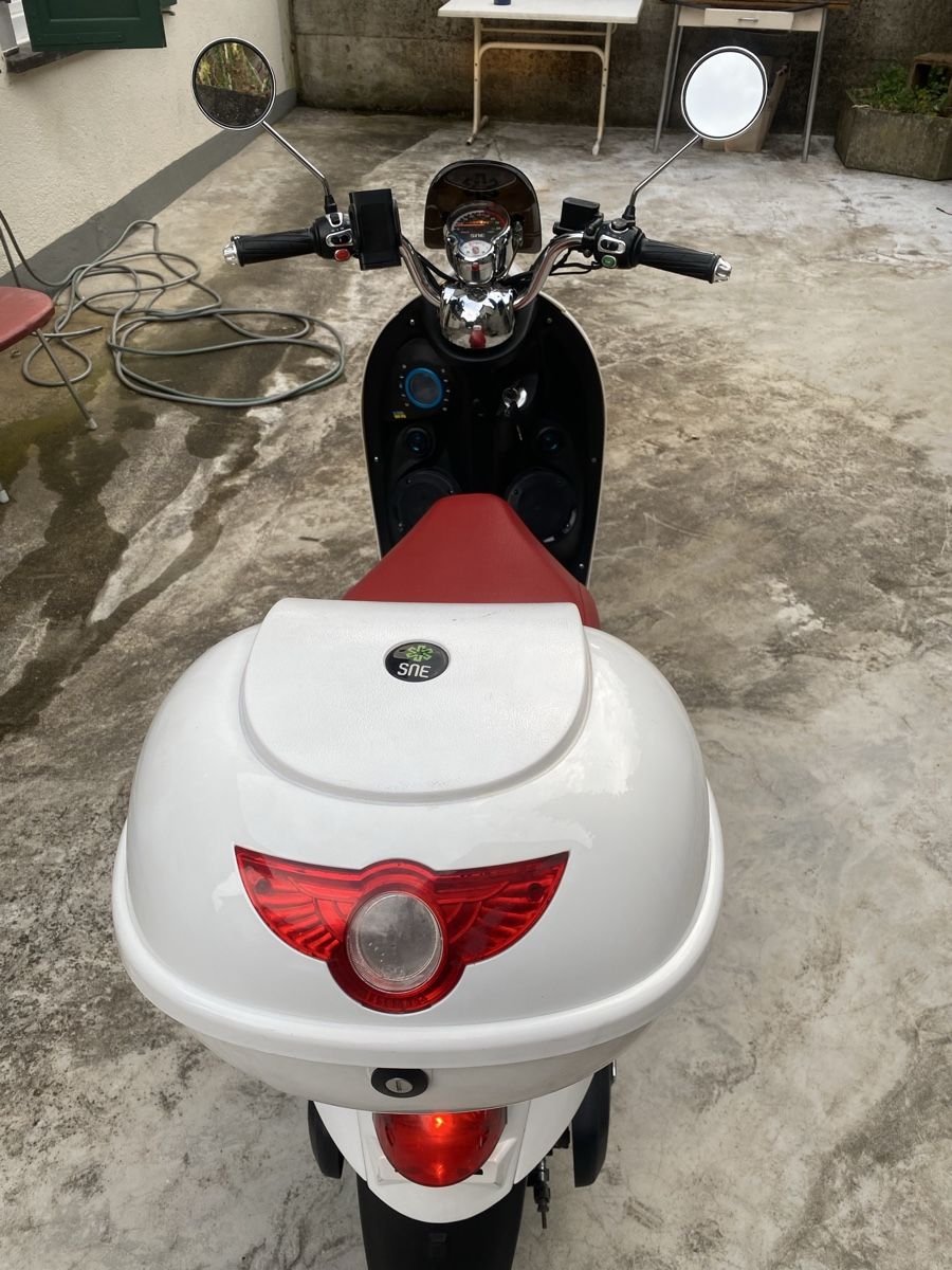 Veicoli elettrici: SNE e roller  – Usato da Grellingen venduto da OCC_ASION01 4