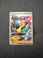 Canari 291/217 SIR