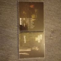 Where angels fall - illuminate