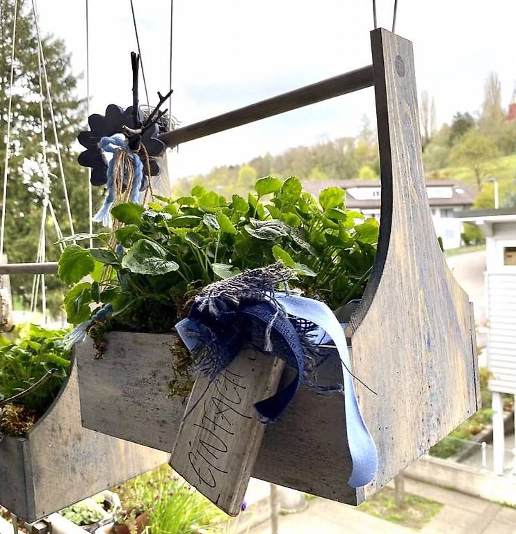 Tutti gli attrezzi: Glockenblume in der Werkzeugkiste – Usato da Frauenfeld venduto da Irene.Schuppli 1