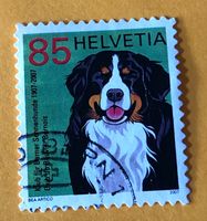 Nr.1227 Berner Sennenhund GESTEMPELT Sondermarken 2007   
