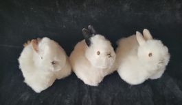 3 x flauschige Baby Alpaka Fell Hasen, NEU!!