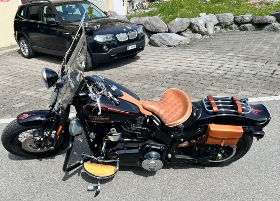Chopper: Harley Davidson Crossbones – Usato da Sevelen venduto da Ritiplampi 5