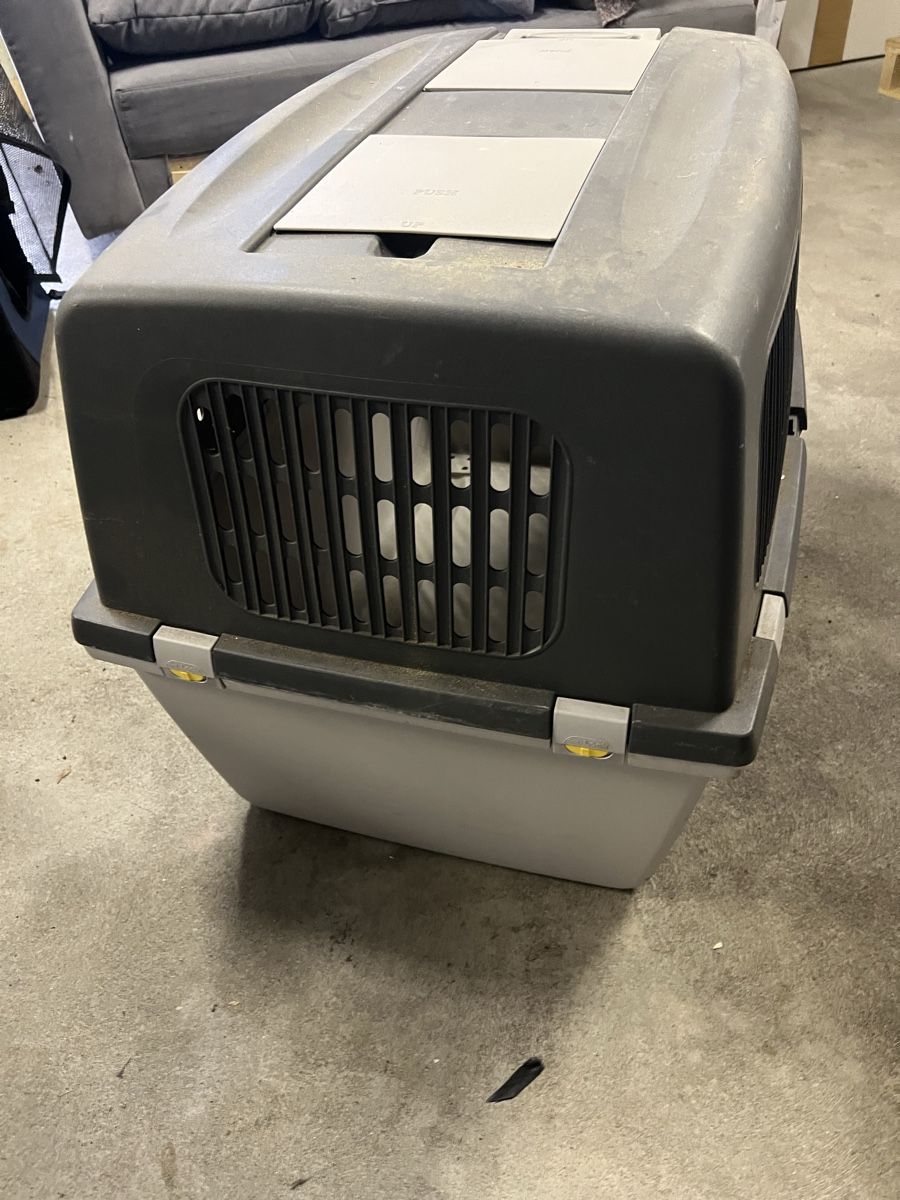 Gabbie, trasporto & Sicurezza: Grosse, robuste Hunde Transportbox für Auto oder Reise. – Usato da Fehraltorf venduto da flo0606 3