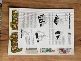 1 Modellbogen Pädagogischer Verlag Dornröschen