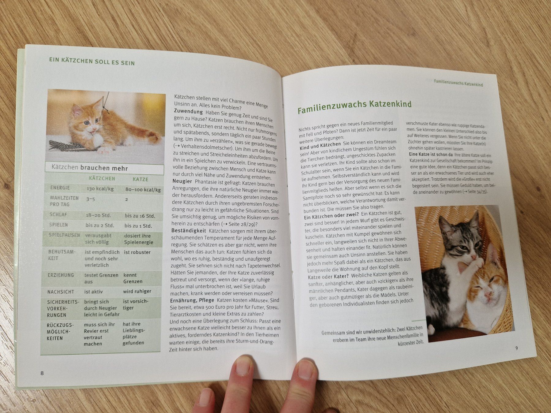 Libri: Buch: Unser Kätzchen - Was Katzenkinder brauchen – Usato da Giswil venduto da monimaus08 2