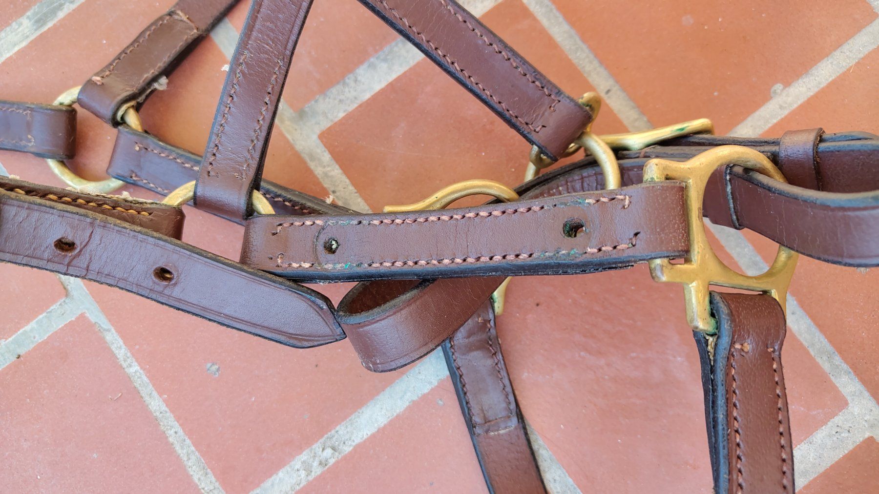 Briglie & Cavezze: Halfter Jungpferd/Pony, Leder – Usato da Emmenbrücke venduto da cla_sf98 4