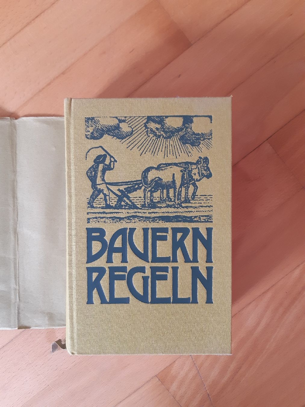 Libri: Bauernregeln altes Buch – Usato da Bazenheid venduto da batapa 1