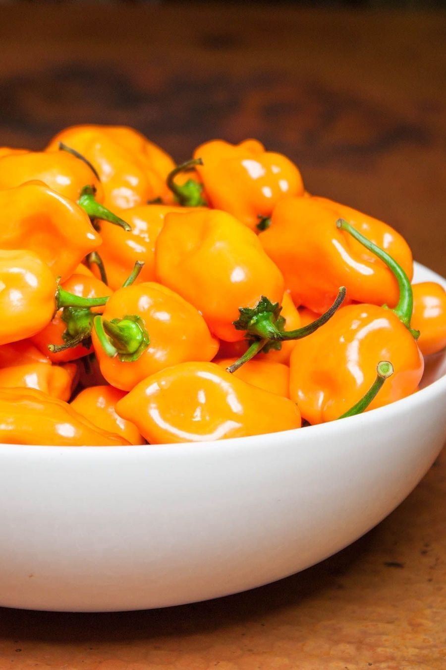 Piante & sementi: 30 Samen Orange Habanero Chilli – Nuovo (secondo la descrizione) da Ehrendingen venduto da VerveinaSamen 6