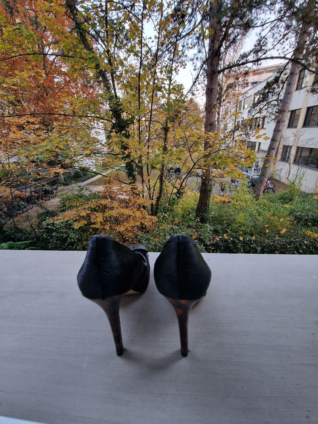 Scarpe da donna: Pumps 37 – Nuovo (secondo la descrizione) da Basel venduto da chingson 2