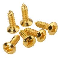 12 Pickguard Schrauben Stratocaster Telecaster Farbe Gold