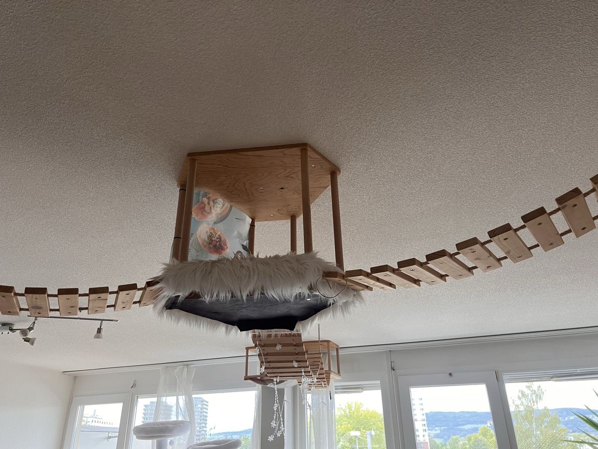 Pareti & prese d'arrampicata: Kletterwand Katzen – Usato da Uster venduto da NElsner 1