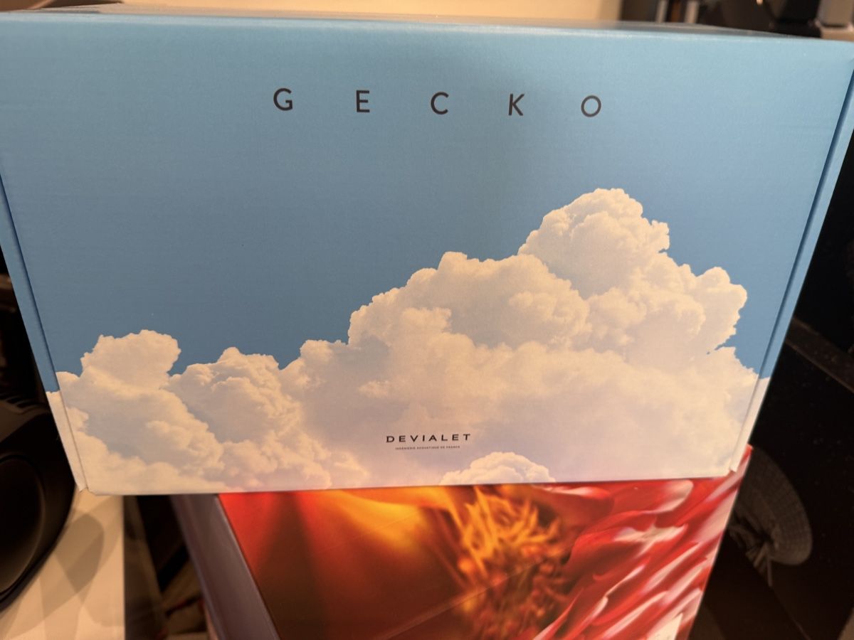 Autres décorations & accessoires: Devialet Gecko für Phantom 1 neu – Neuf avec emballage d'origine à dietlikon par avspalinger 2