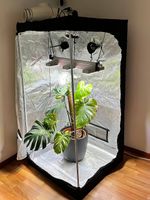 Growbox Komplettset 80x80 - Sanlight LED & Silent Abluft