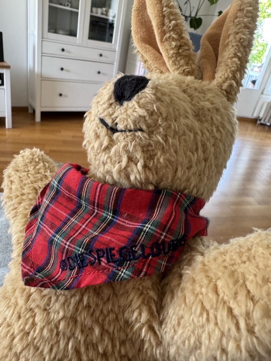 Giocattoli: Felix Handpuppe - Spiegelburg  – Usato da Dierikon venduto da FraeuleinMaus17 3