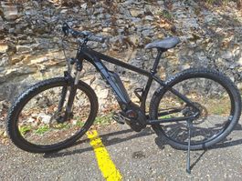 E-Bike CUBE Reaction Pro 29