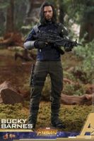 Hot Toys MMS509 The Avengers Winter Soldier 1/6