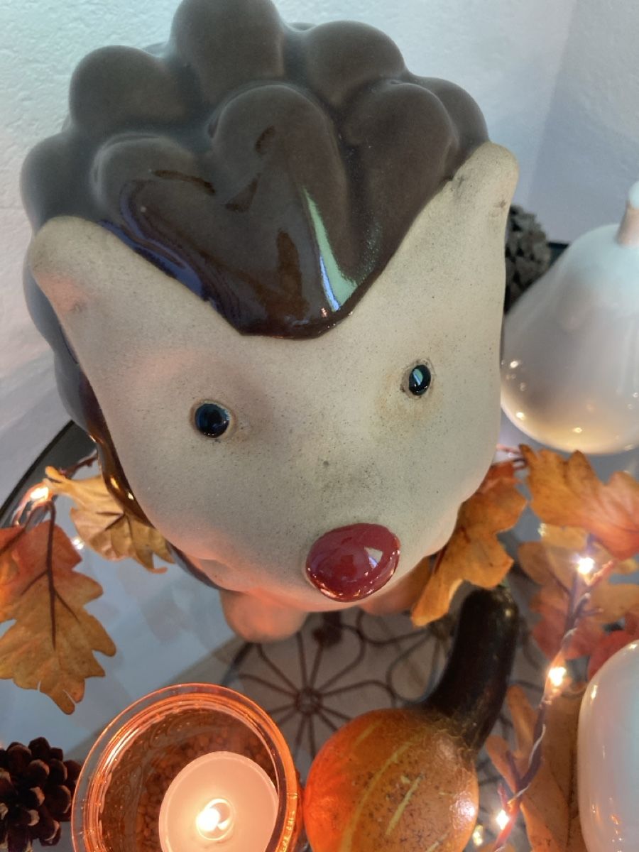 Tutte le decorazioni: Herbst-Deko-Set – Usato da Selzach venduto da SB09 3