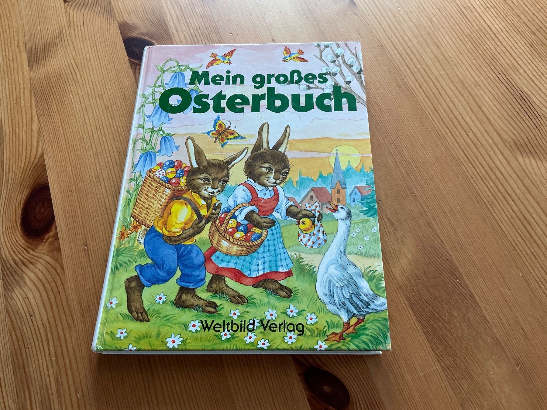 Libri: MEIN GROSSES OSTERBUCH – Usato da Aesch BL venduto da Fortexx