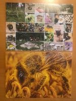 2x Grusskarten Wildbienen
