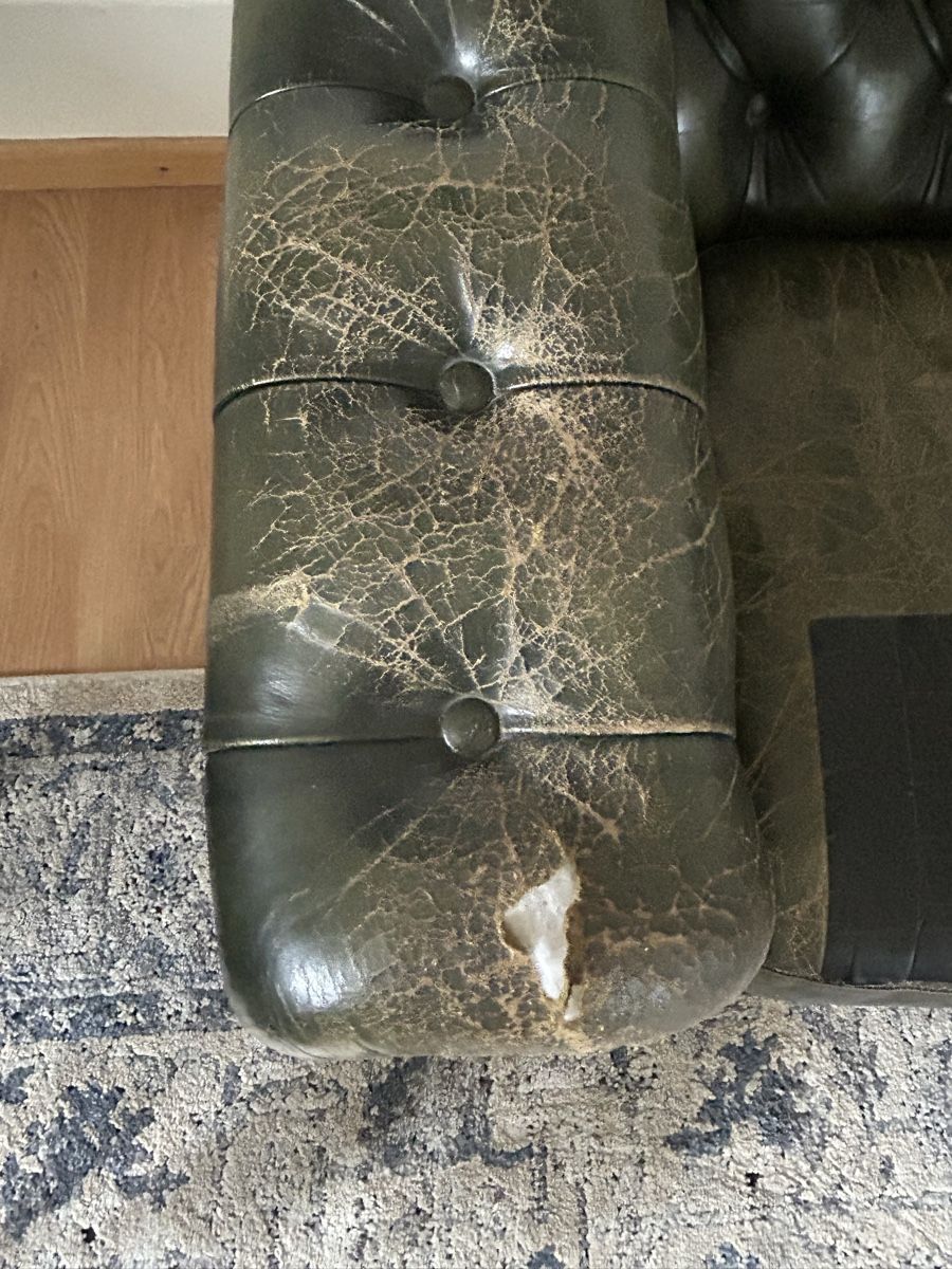 Chesterfield Divani: Chesterfield Sofa Grün  – Usato da Winterthur venduto da lenolson 1