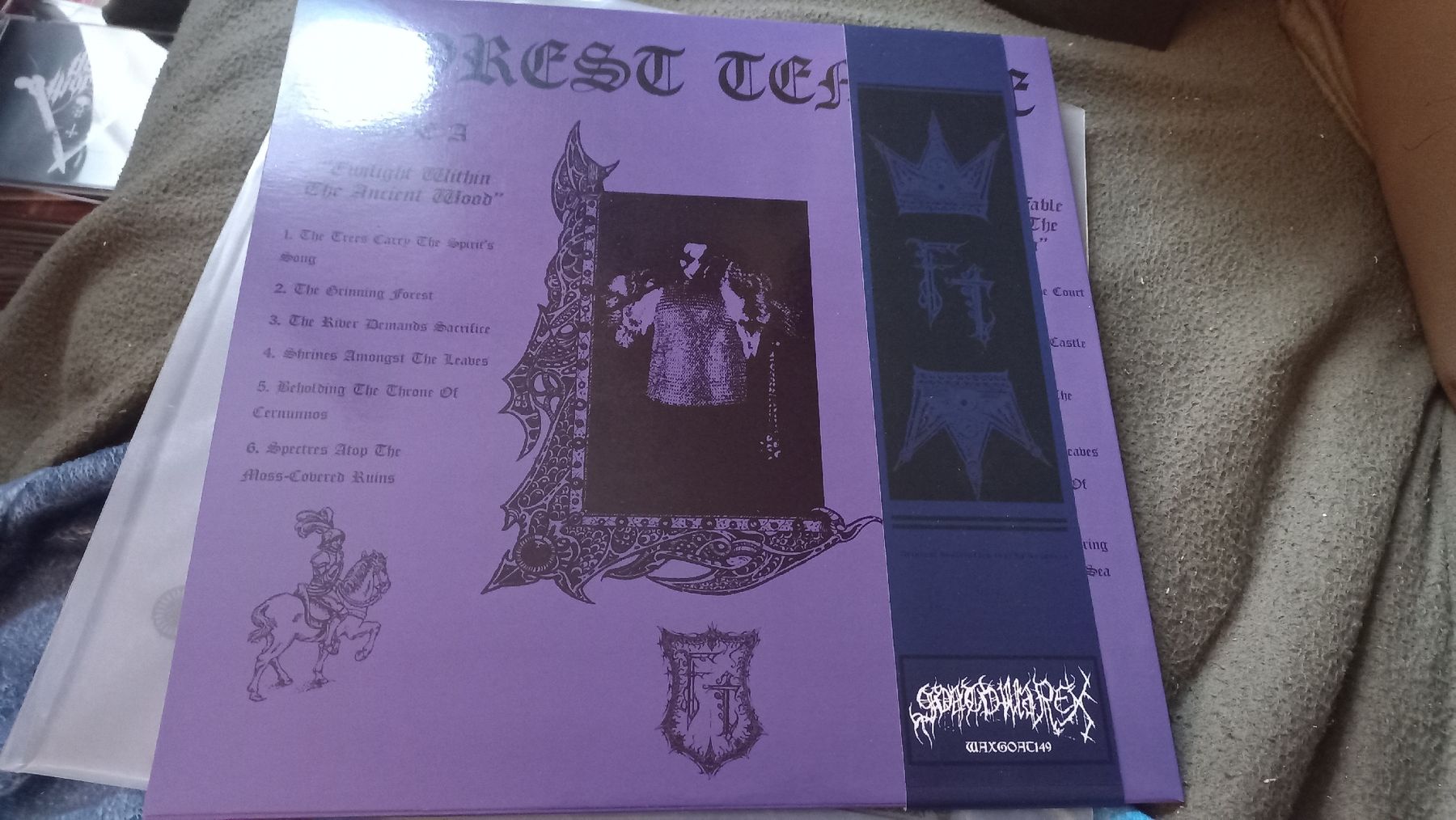 Vinyles: Forest Temple "From Stardust...Vinyl LP Dungeon Synth  – D'occasion à Olten par Donatello1984 1
