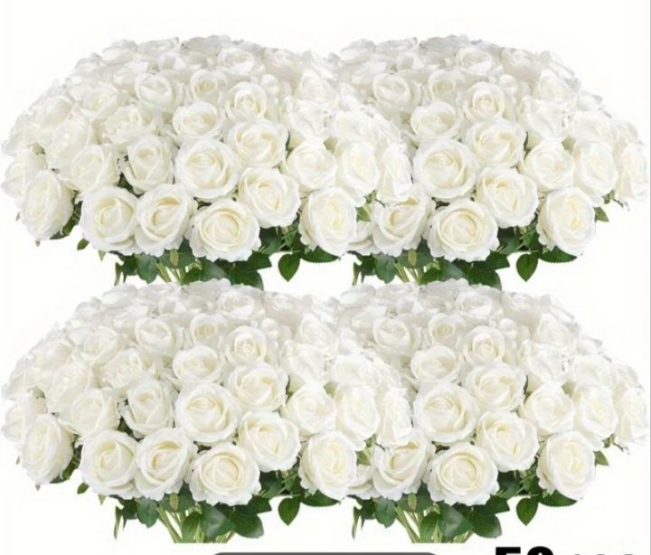 Piante & sementi: 45 weiss/beige Rosen – Nuovo (secondo la descrizione) da Basel venduto da fat_ct65
