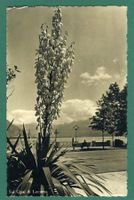 Locarno, sul Quai, 1934, gelaufen