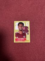 Panini Sticker Homam Ahmed Katar Nr. 5