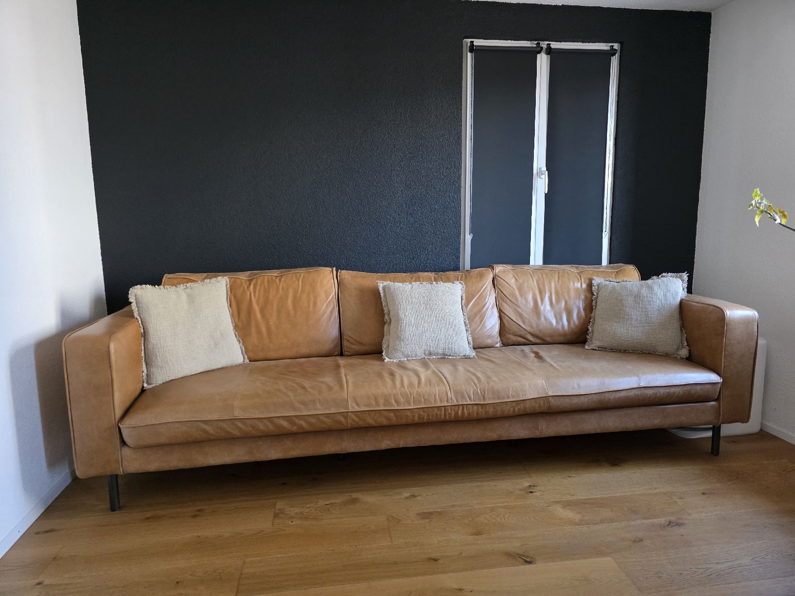 Divani: Cooles - stylisches EchtlederSofa – Usato da Neuhaus SG venduto da LENZ30 1