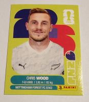 Chris Wood - NZL 17