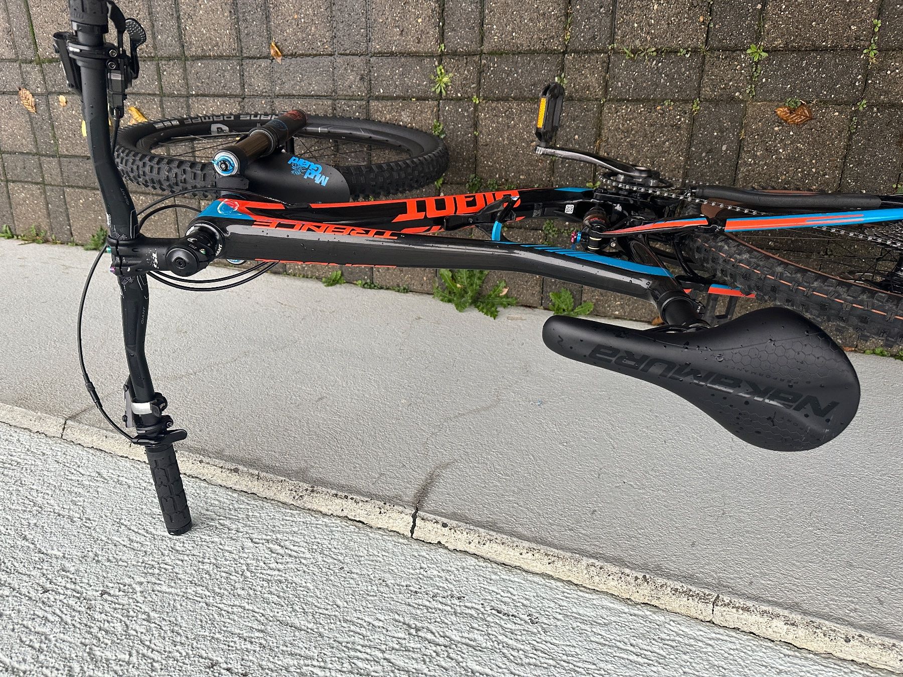 Giant Biciclette: Giant  Trance Advanced 1 CARBON – Usato da Adliswil venduto da krocan700 5