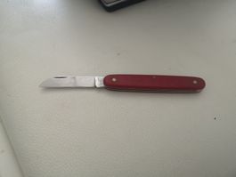 Victorinox Sackmesser, Blumenmesser, Pfropfmesser, Rot