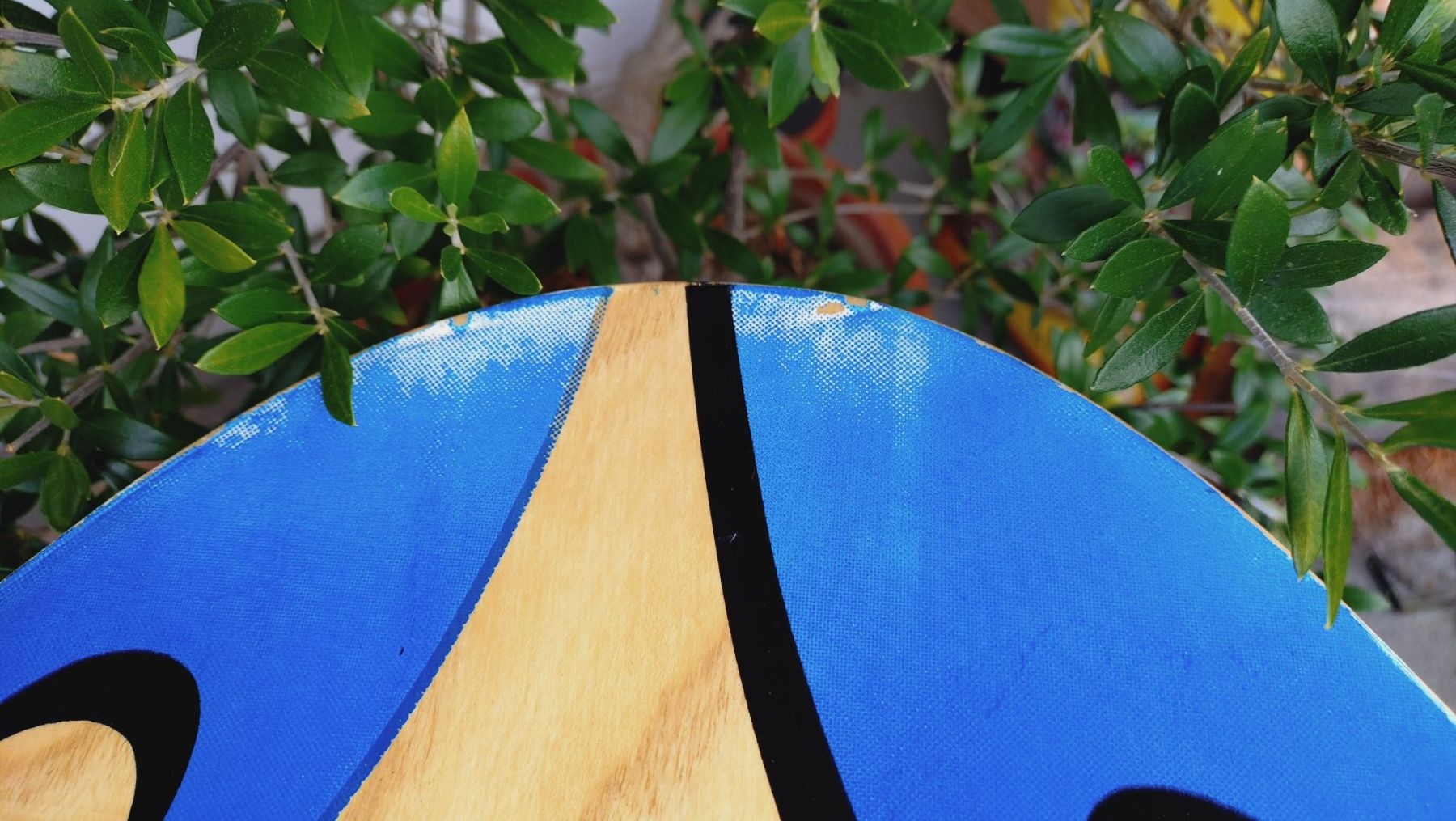 Planches de surf: Skimboard, Holz – D'occasion à Uster par Junipa 4