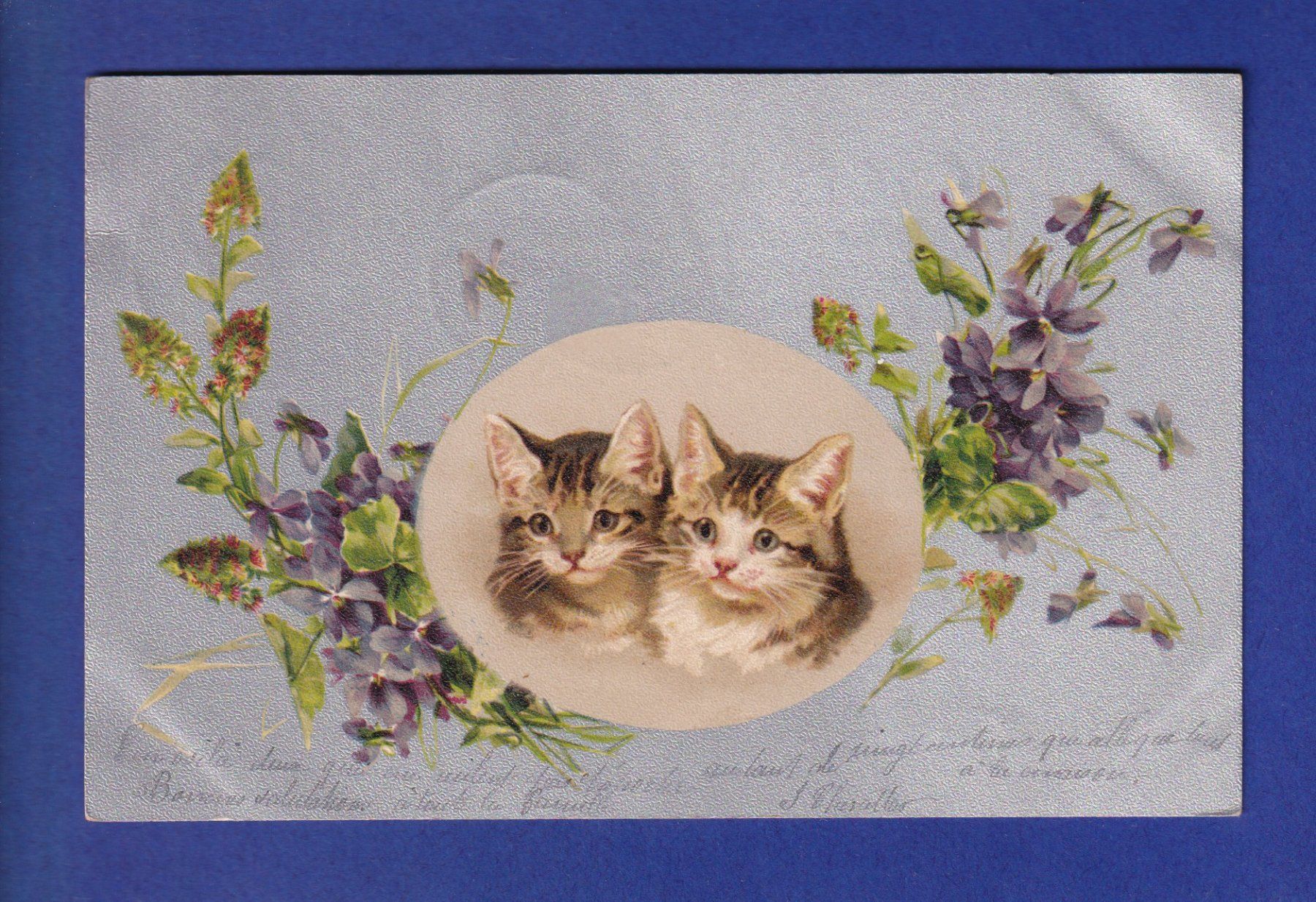Cartoline postali: CHAT - Chats et fleurs – Usato da Pully venduto da nicecards-shop