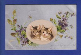 CHAT - Chats et fleurs