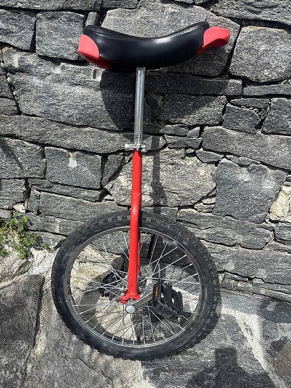Biciclette: Monociclo – Usato da Cugnasco venduto da iva_yw8k
